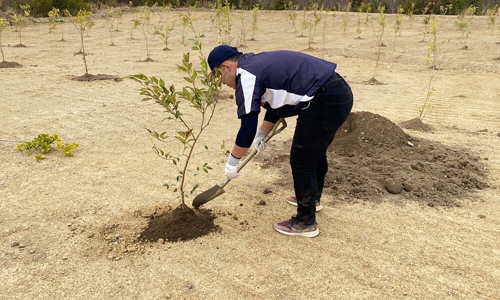 資源の恵みを大切に生活環境を支える山林開発山林回復の主な活動