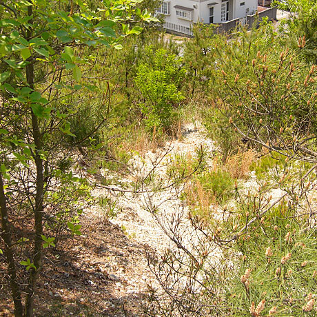 法面の上からの写真