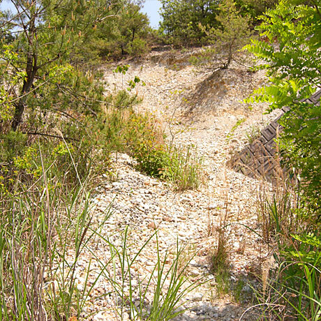 法面の下からの写真