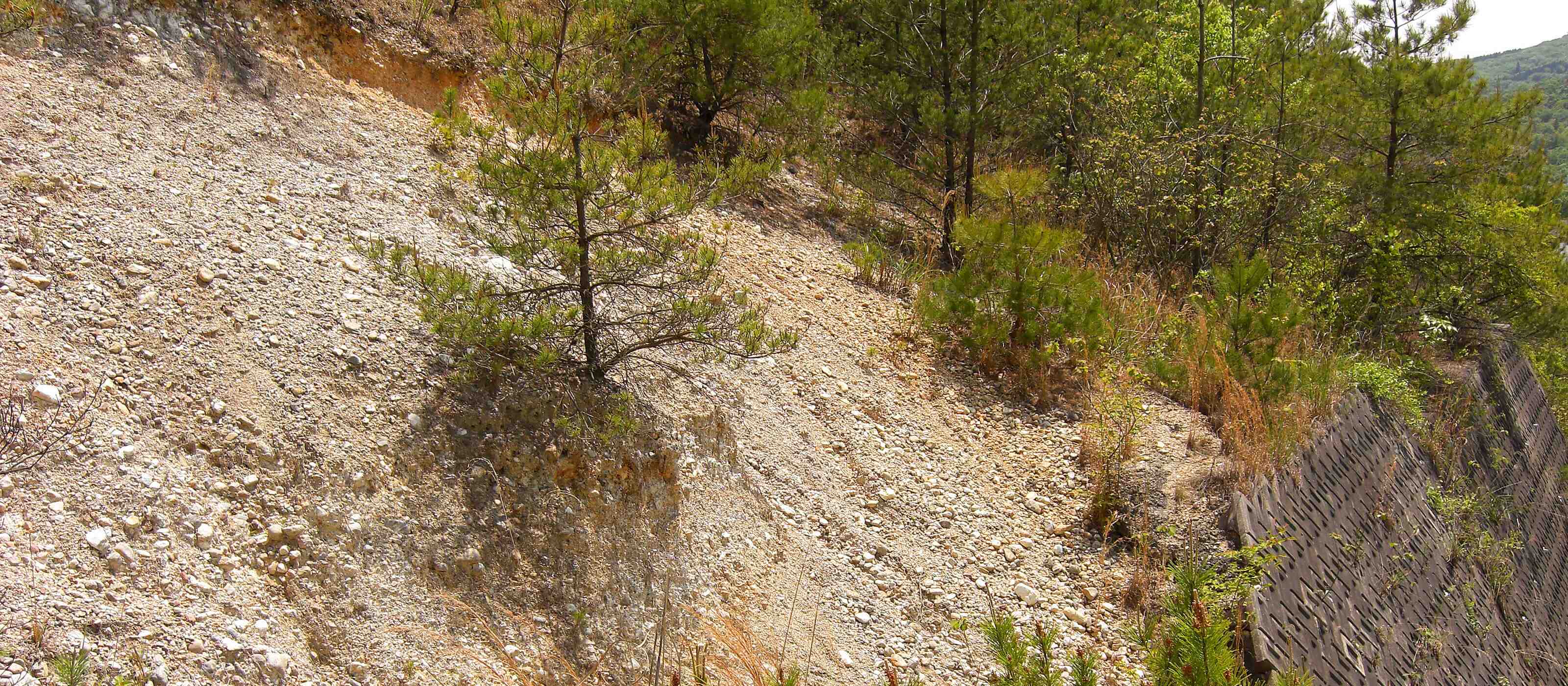 山林開発レポートvol.1 土砂災害危険区域