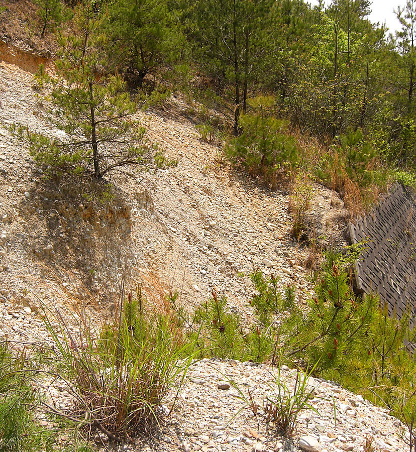 山林開発レポートvol.1 土砂災害危険区域