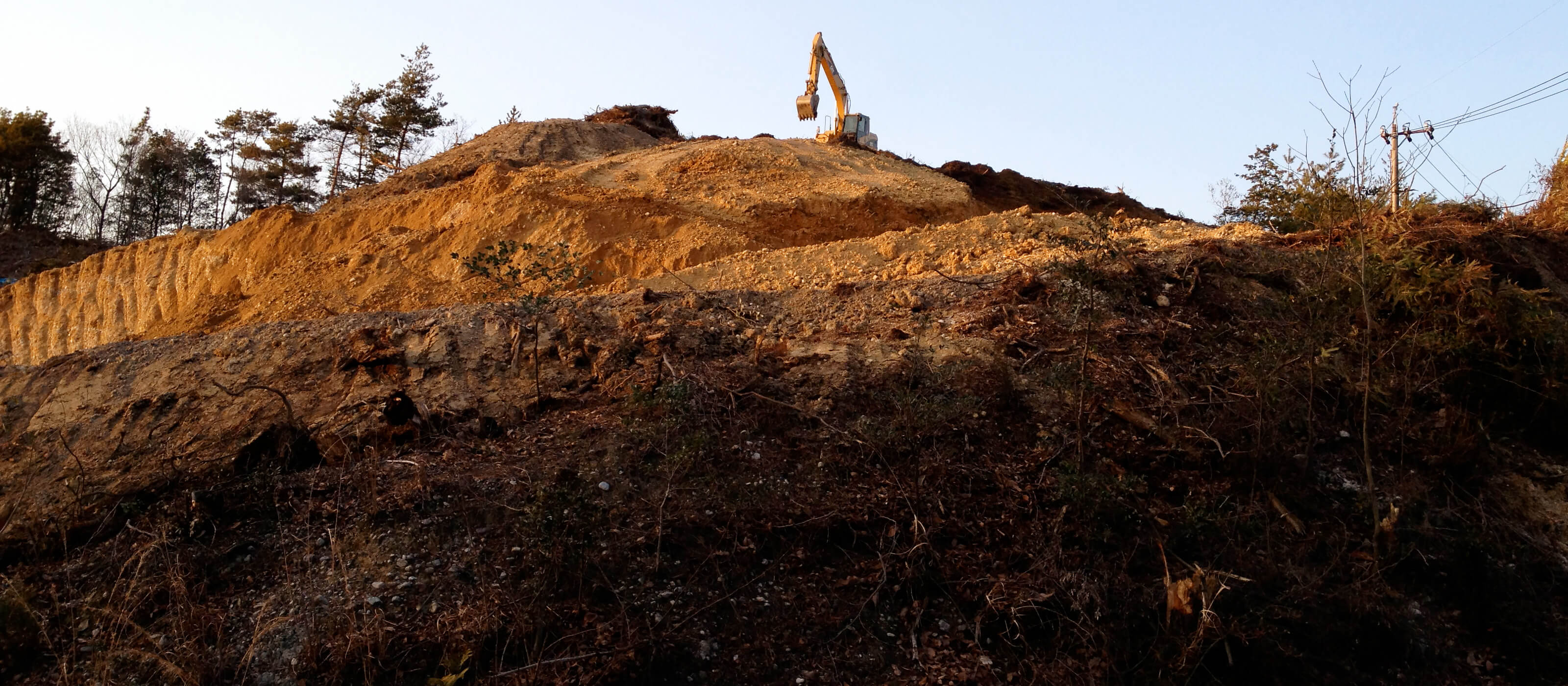 山林開発スタート