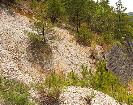 プロジェクトレポート