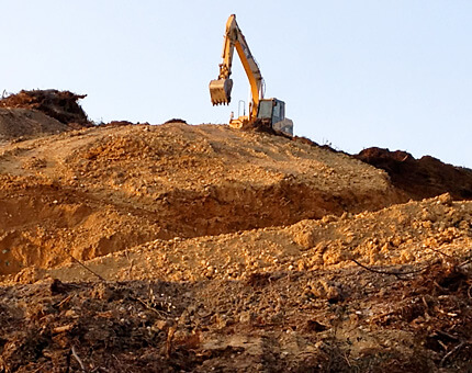 プロジェクトレポート