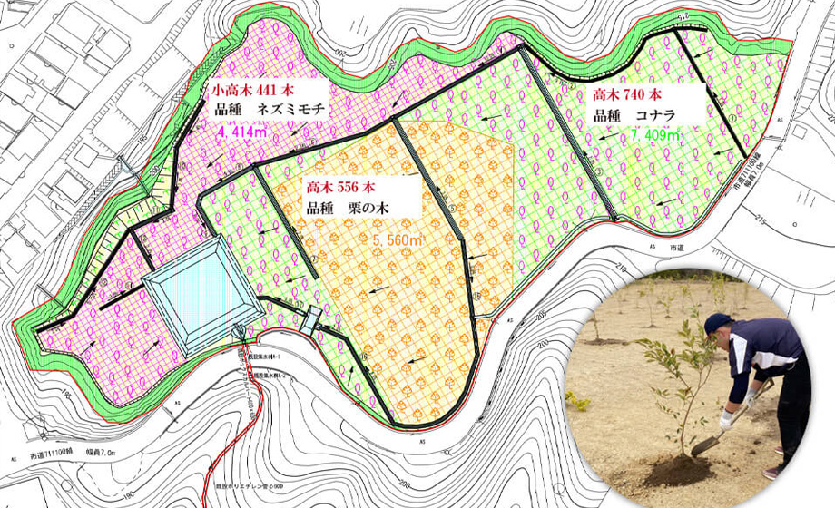 令和4年の緑化計画平面図