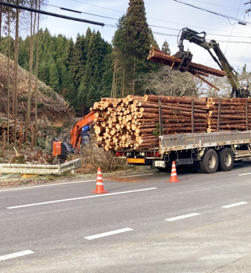 伐採木材搬出