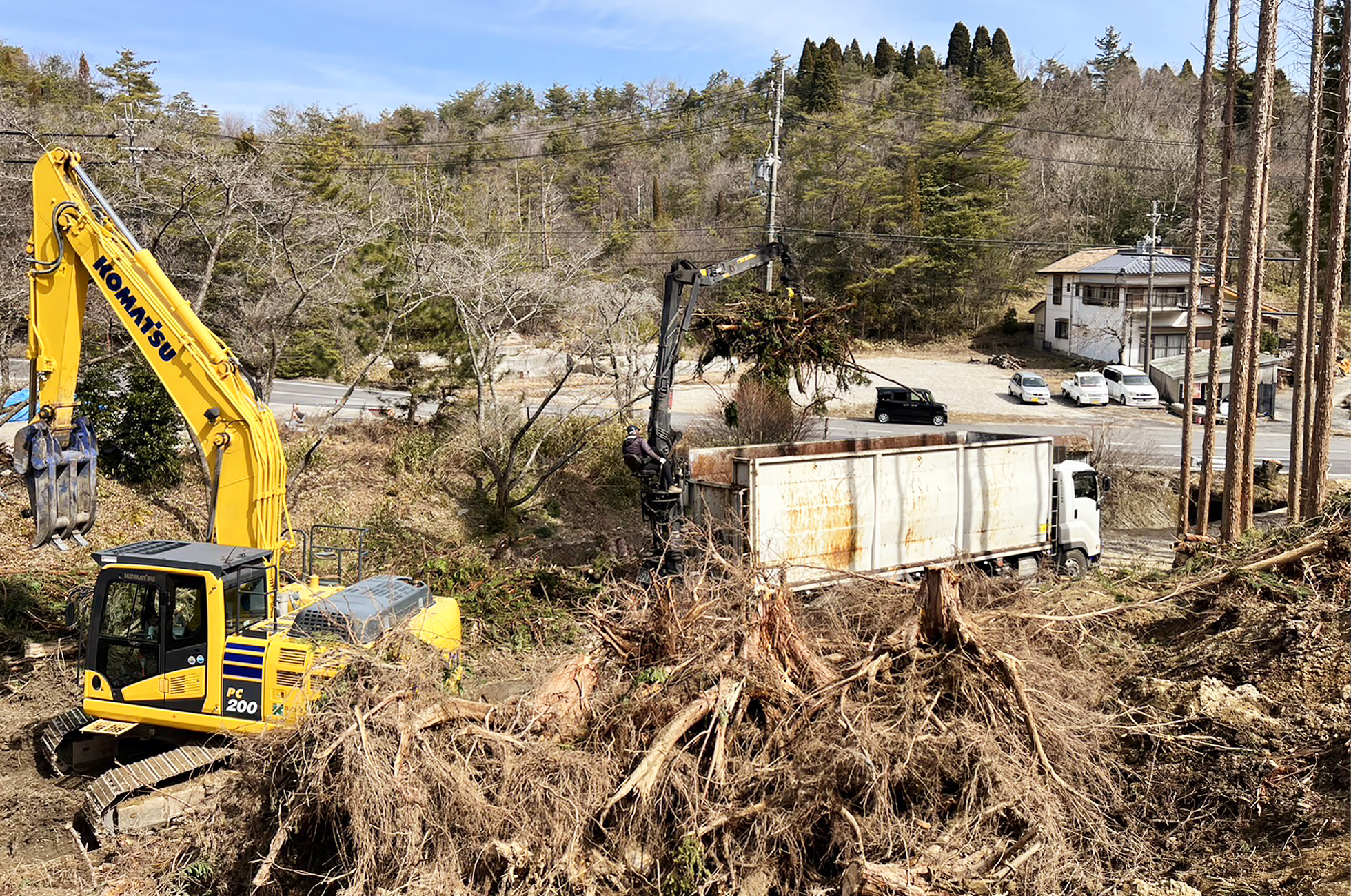 抜根及び枝葉搬出作業