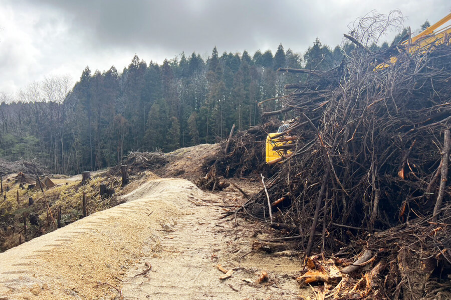 抜根及び枝葉搬出作業