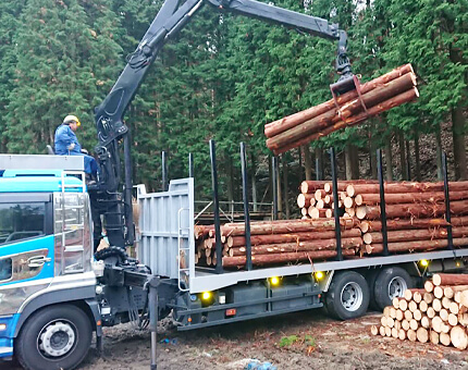 プロジェクトレポート