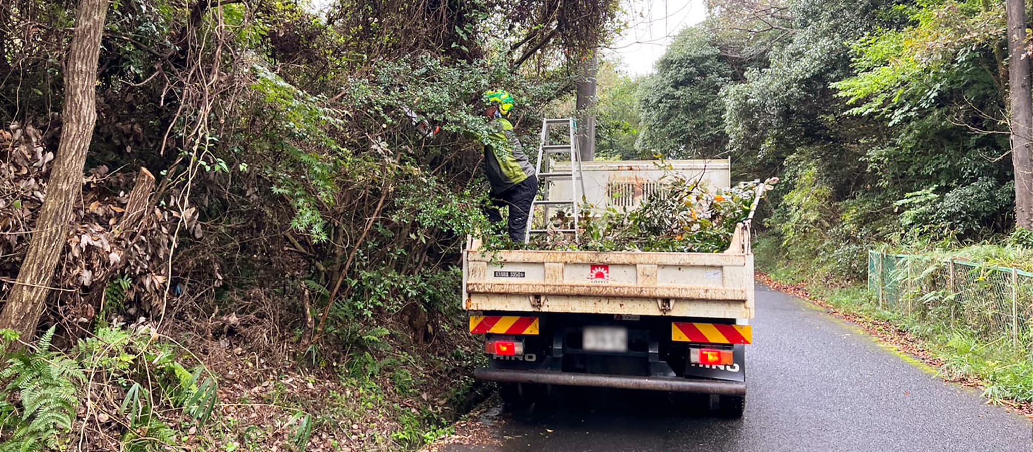 道路沿いの樹木伐採工事